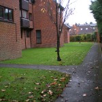 garden-makover-folder-628